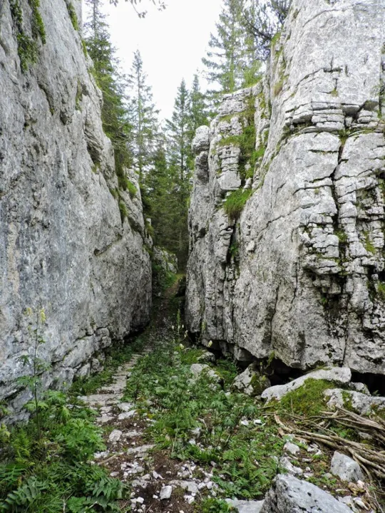 Monte Fiara - Scalinata