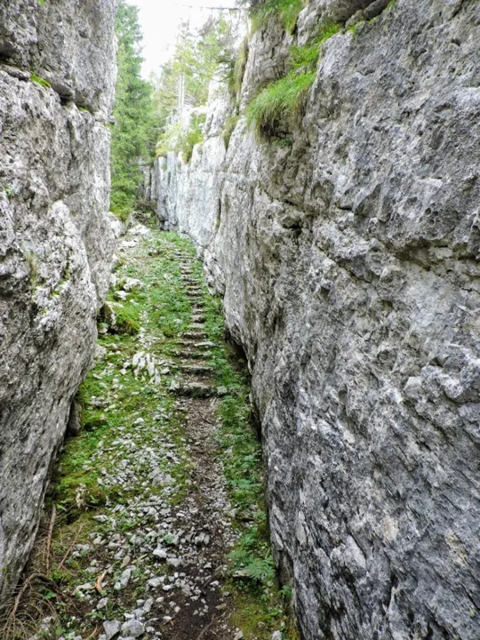 Monte Fiara - Scalinata