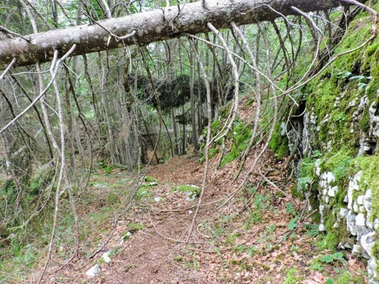 Monte Fiara - Sentiero di ritorno