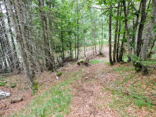 Monte Fiara - Sentiero di ritorno