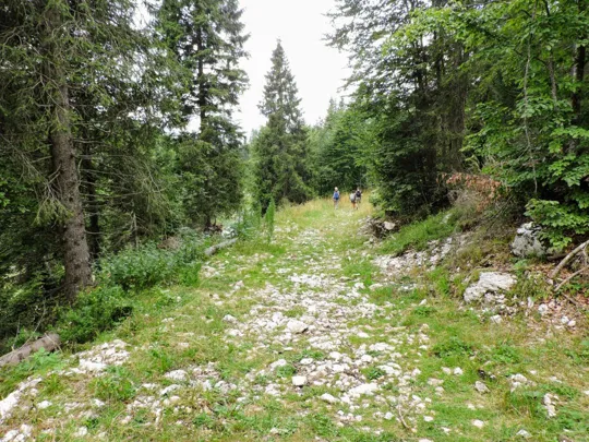 Monte Fiara - Strada prima dell'arrivo