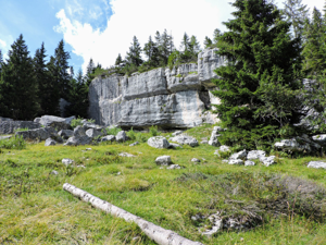 Monte Fiara - La parete di roccia (ex cava)