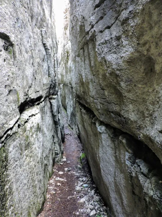 Monte Fiara - Dentro al labirinto