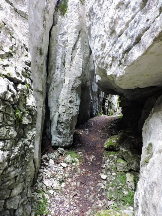 Monte Fiara - Dentro al labirinto