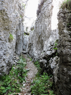 Monte Fiara - Dentro al labirinto, ingresso galleria della Grande Guerra