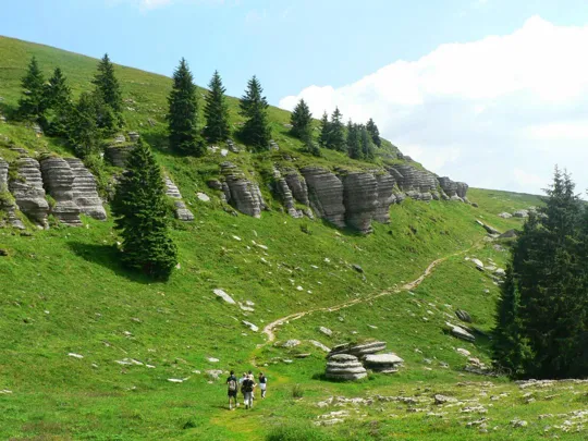 Dettaglio del percorso