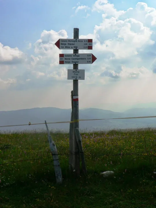 Monte Fior - sulla cima, 1824 m