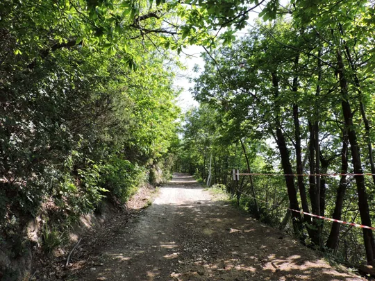 Dettaglio del percorso