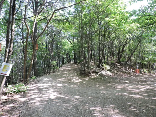 Ultimo tornante prima della cima