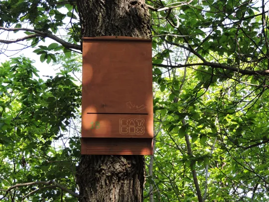 Rifugio per pipistrelli