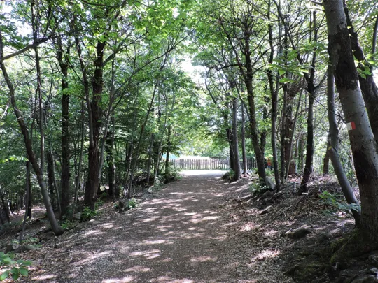 Parte finale del percorso prima del radar