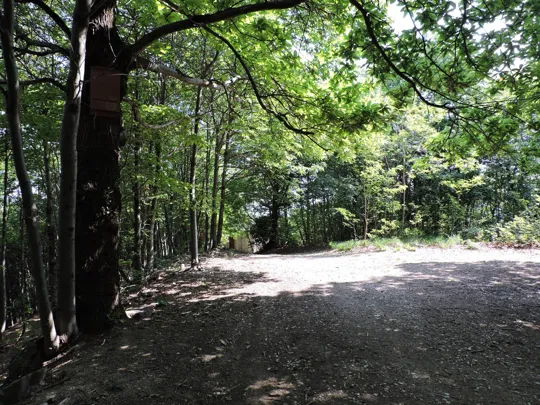 Dettaglio del percorso