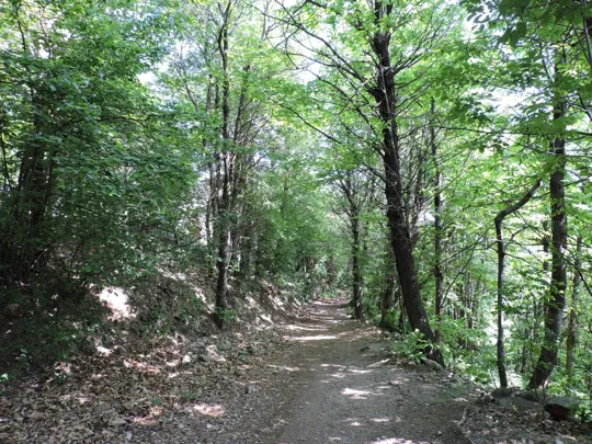 Dettaglio del percorso