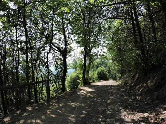 Dettaglio del percorso