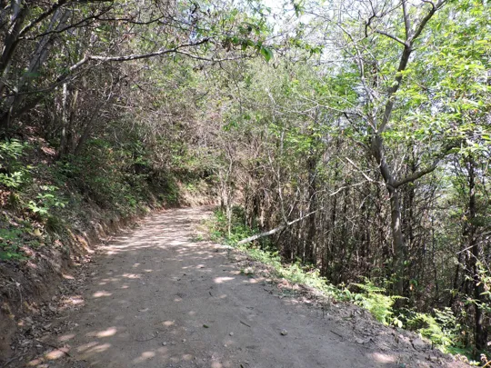 Dettaglio del percorso