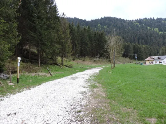 Monte Gusella - inizio della strada forestale