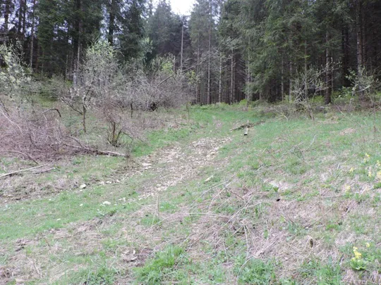 Monte Gusella - inizio del sentiero