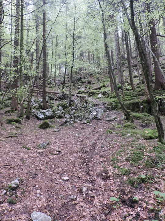 Monte Gusella - particolari del sentiero