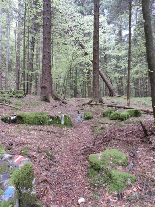 Monte Gusella - particolari del sentiero