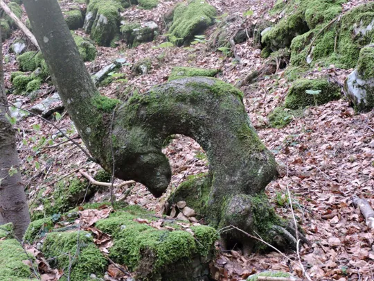 Monte Gusella - A voi cosa sembra?