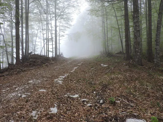 Monte Gusella - la strada verso la cima