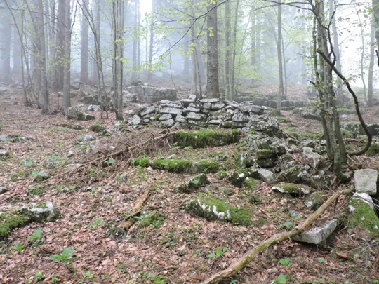 Monte Gusella - verso la cima