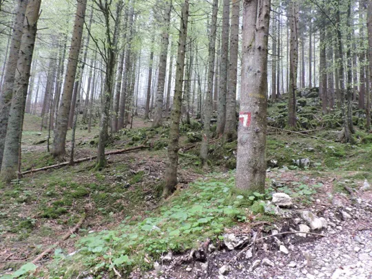 Monte Gusella - inidicazione della svolta a sinistra