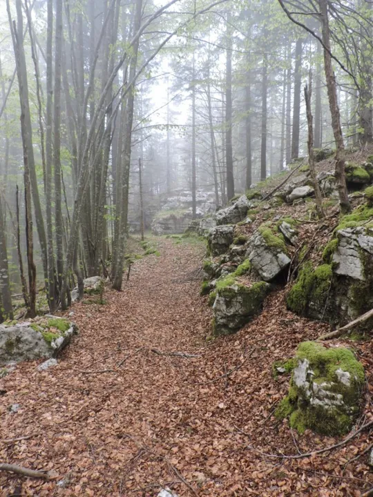 Monte Gusella - verso l'osservatorio