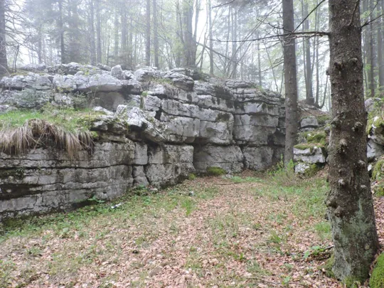Monte Gusella - galleria
