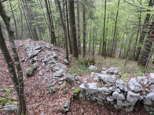 Monte Gusella - resti di trincea