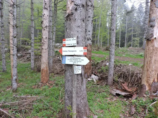 Monte Gusella - uscita dalla strada