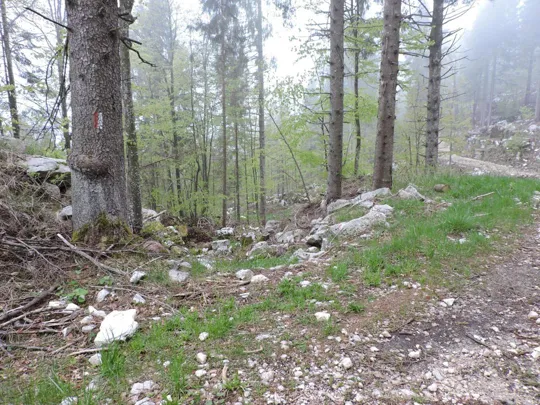 Monte Gusella - attraversamento della strada