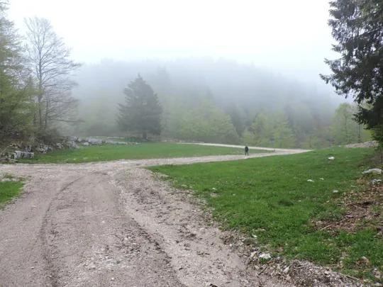 Monte Gusella - incrocio con la strada principale