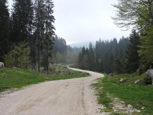 Monte Gusella - strada principale verso la malga