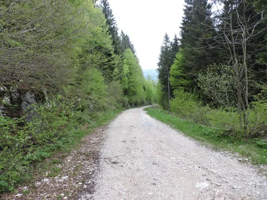 Monte Gusella - verso il punto di partenza