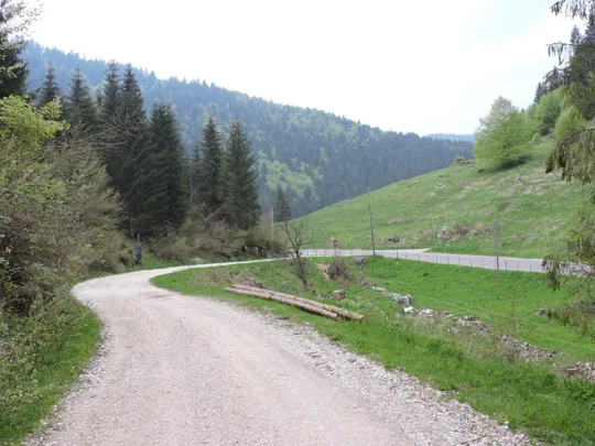 Monte Gusella - fine del percorso