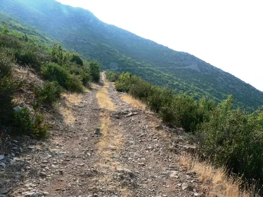 Monte Ivan - Strada carreggiabile