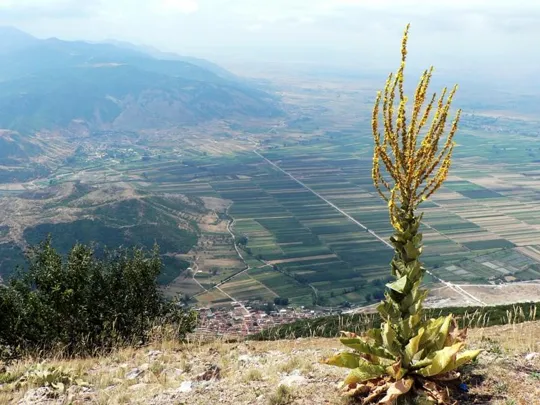 Monte Ivan - veduta verso Korce