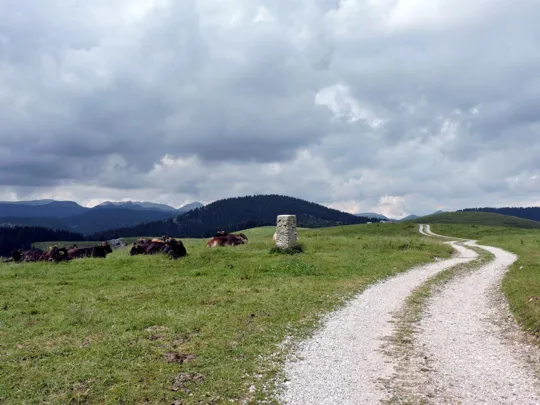 Verso casara Ongara di dietro