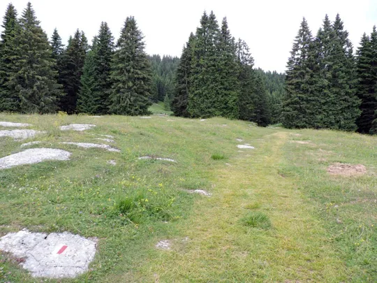 Verso l'osservatorio