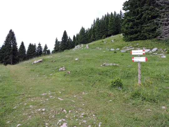 Indicazioni verso l'osservatorio