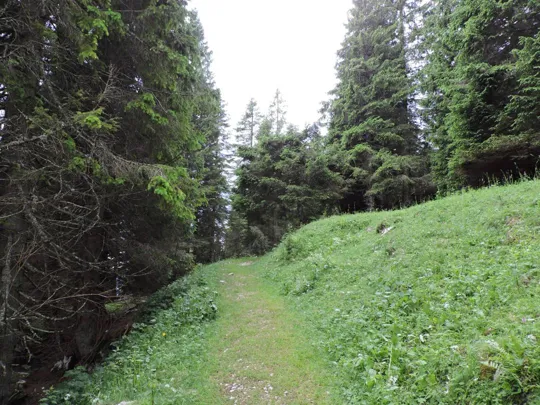 Sentiero verso l'osservatorio