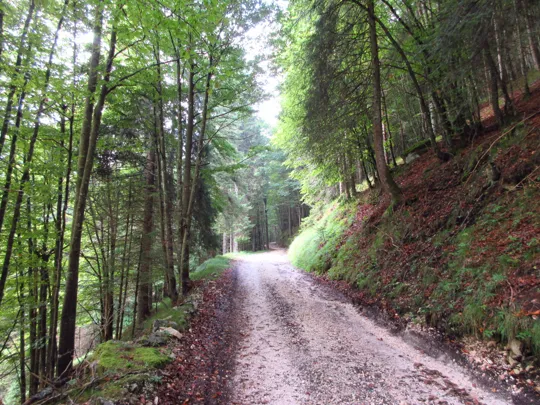 Dettaglio del percorso