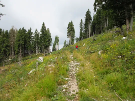 Dettaglio del percorso