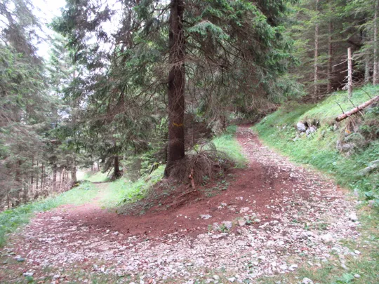 Dettaglio del percorso