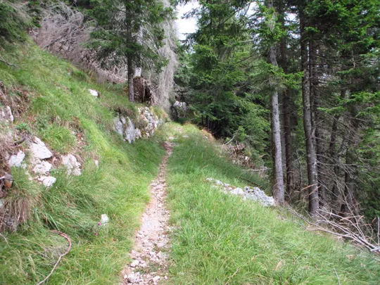 Dettaglio del percorso