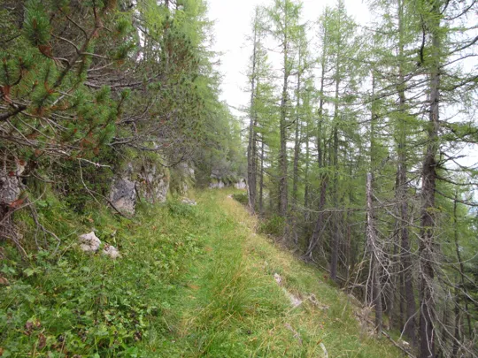 Dettaglio del percorso