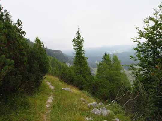 Dettaglio del percorso