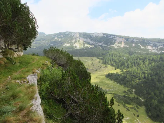 Dettaglio del percorso con panorama