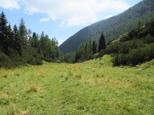 Dettaglio del percorso